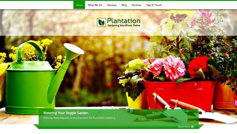 plantation-788x448