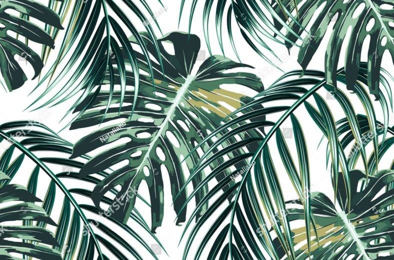 tropical palm leaves 788x