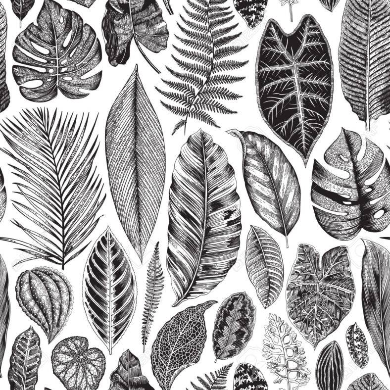 vintage black and white leaves 788x