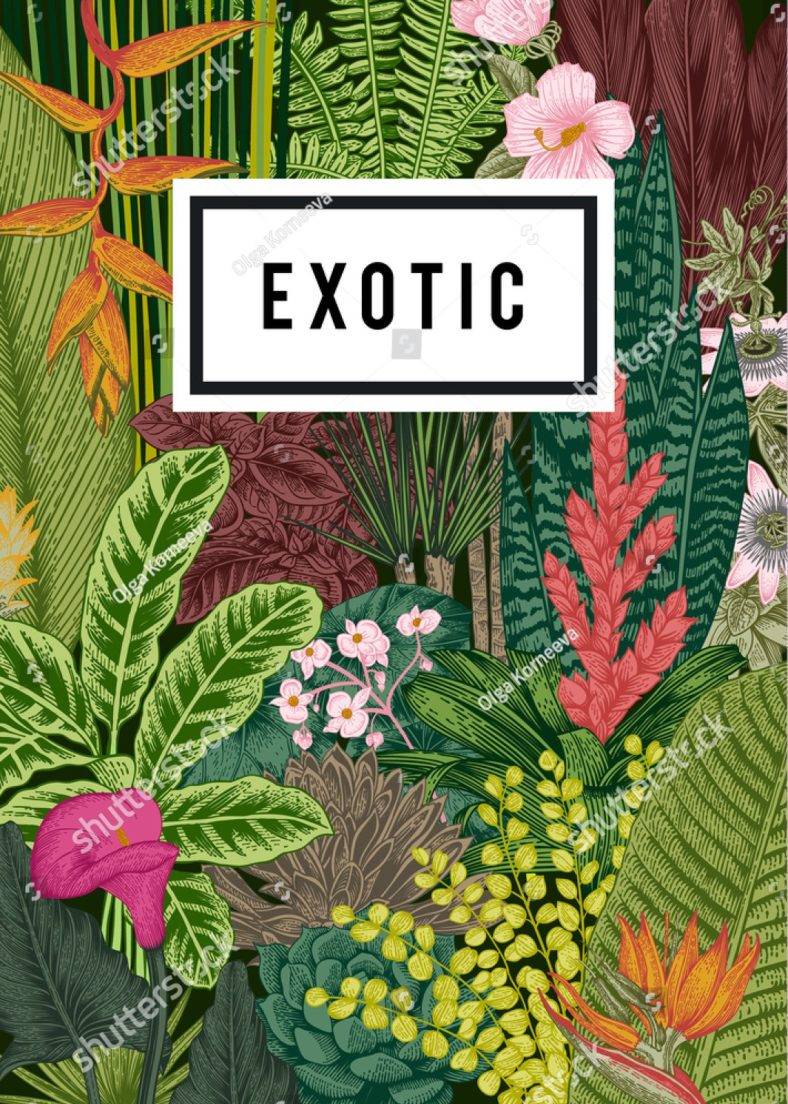 vintage exotic flowers 788x110