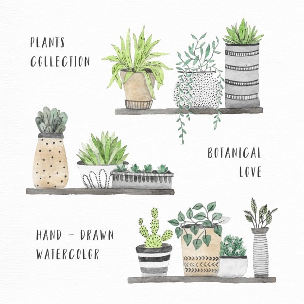 watercolor house plants collection