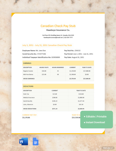 canadian check pay stub template