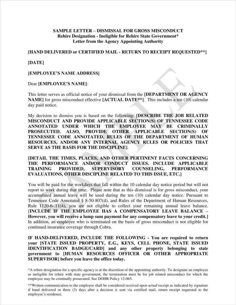 15+ Probation Termination Letter  Free & Premium Templates