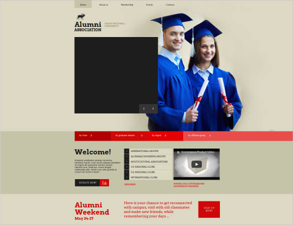 education website theme template
