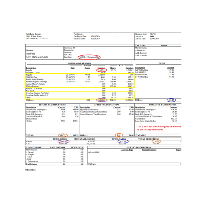 salary pay stub template