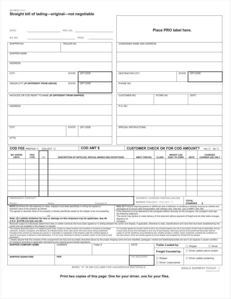 35 + Bill of Lading Templates in MS Word, Google Docs
