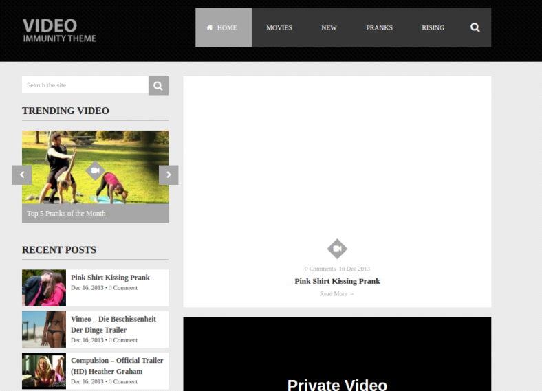 15+ Media WordPress Themes & Templates