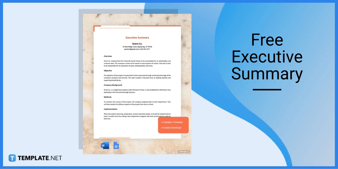 free executive summary template