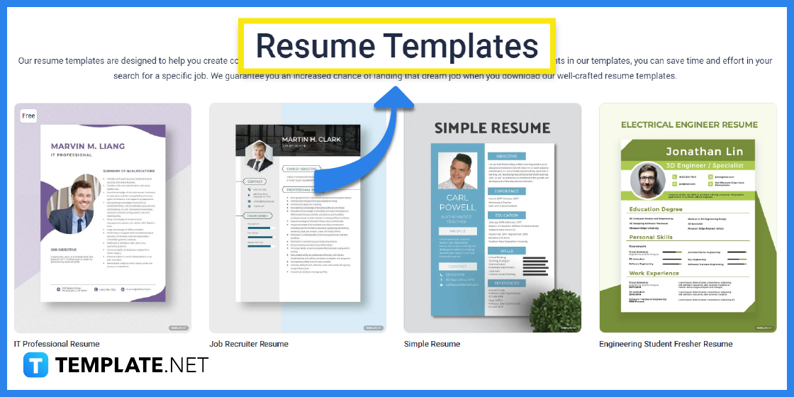 how to make a resume summary templates examples 2023 step