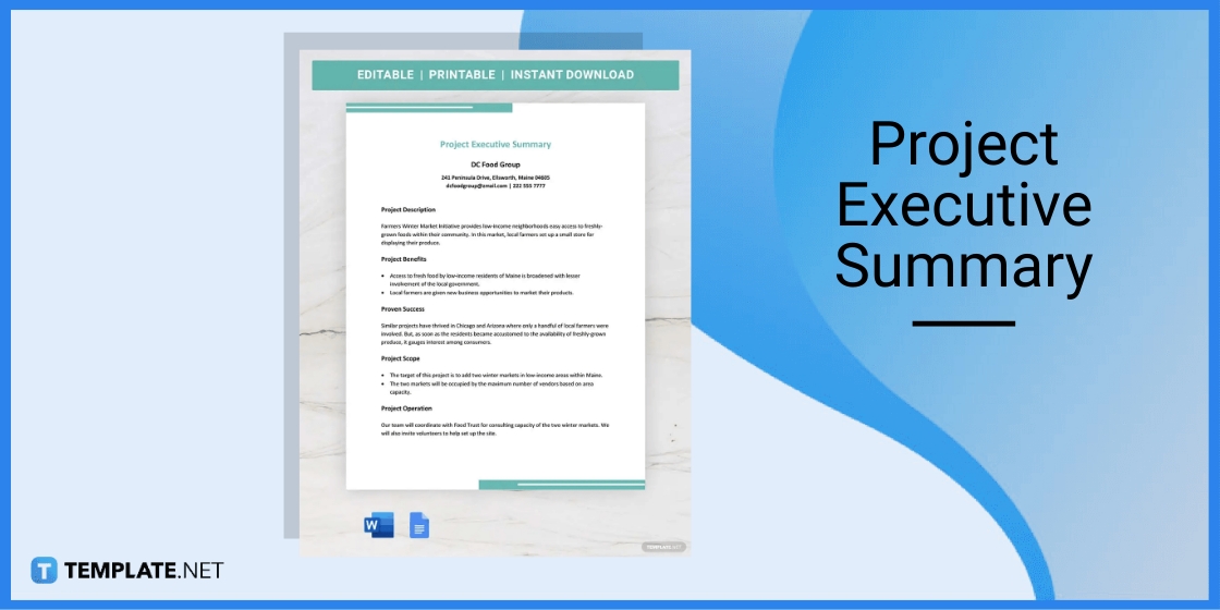 project executive summary template