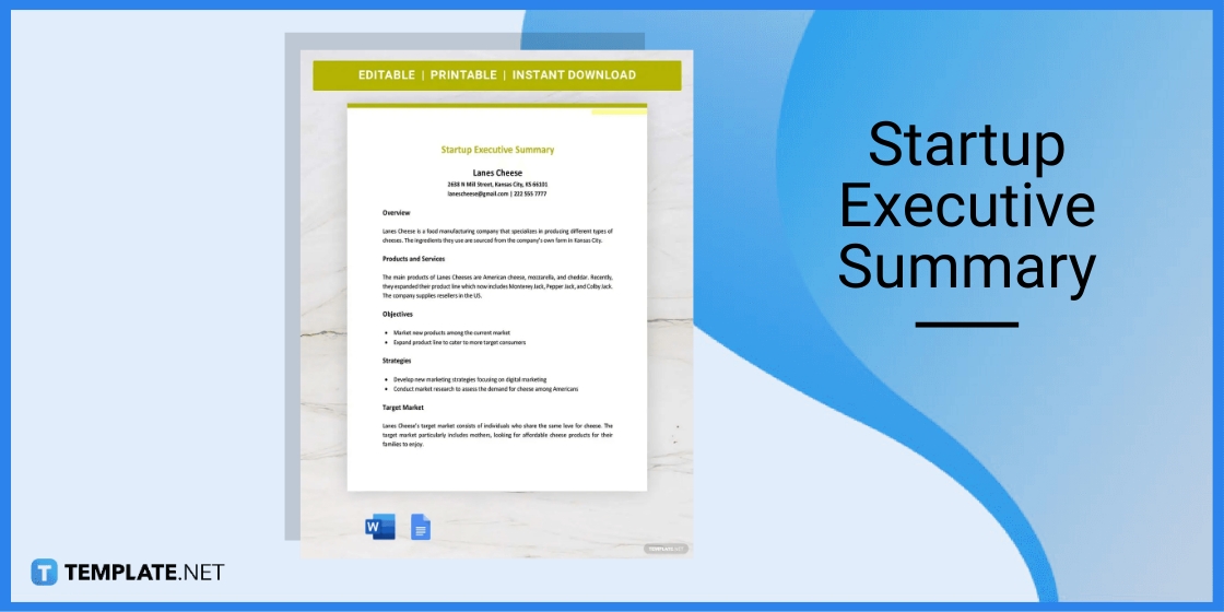 startup executive summary template