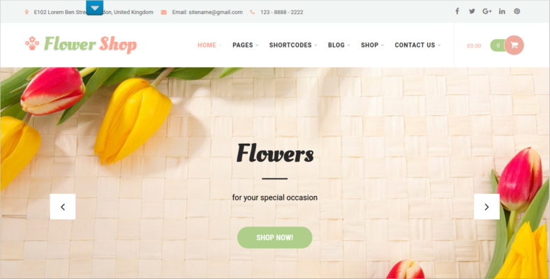 flowershop 788x400