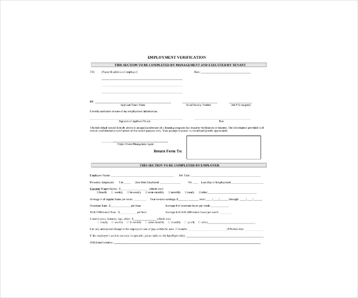 blank verification of employment form