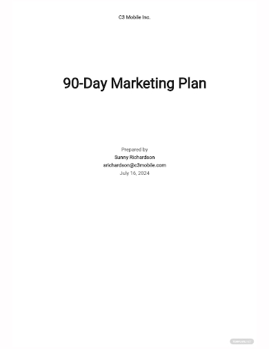 0 60 90 day marketing plan template