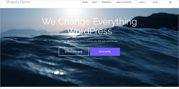 free responsive one page wordpress theme