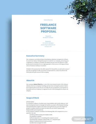 freelance-software-proposal-template