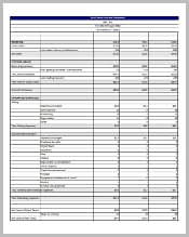 pro-forma-income-statement-excel-template
