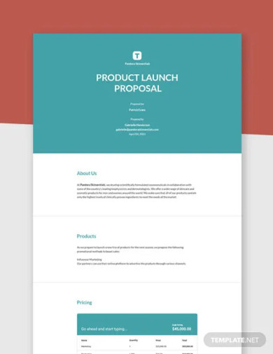 11+ New Product Proposal Templates for Business