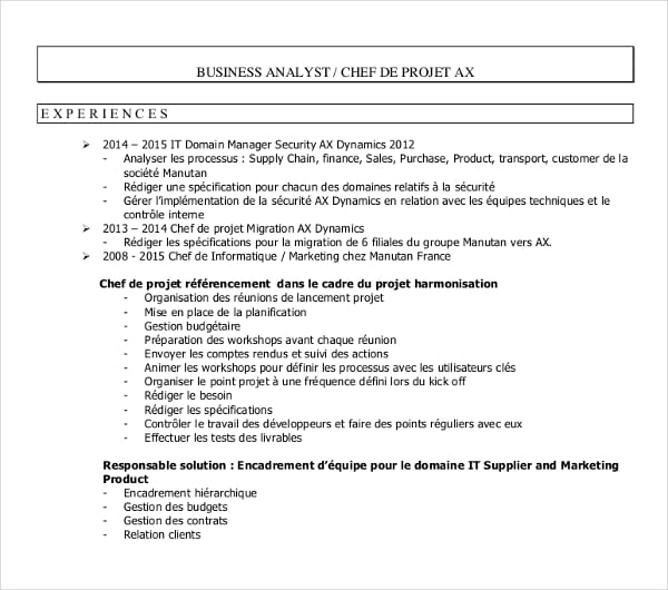 business chief analyst cv template