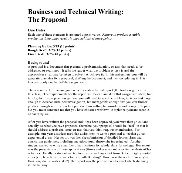 technical writing for business plan