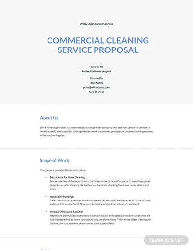 17+ Cleaning Proposal in MS Word | Pages | Google Docs