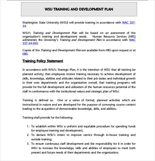training business plan pdf
