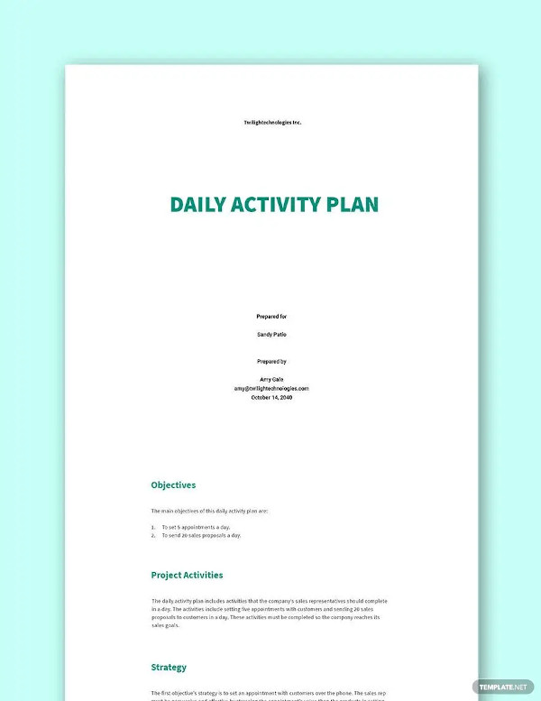 daily activity plan template