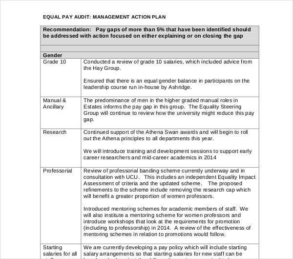 14+ Audit Action Plan Templates PDF