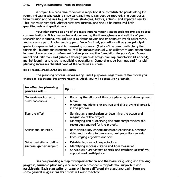 open society institute model business plan