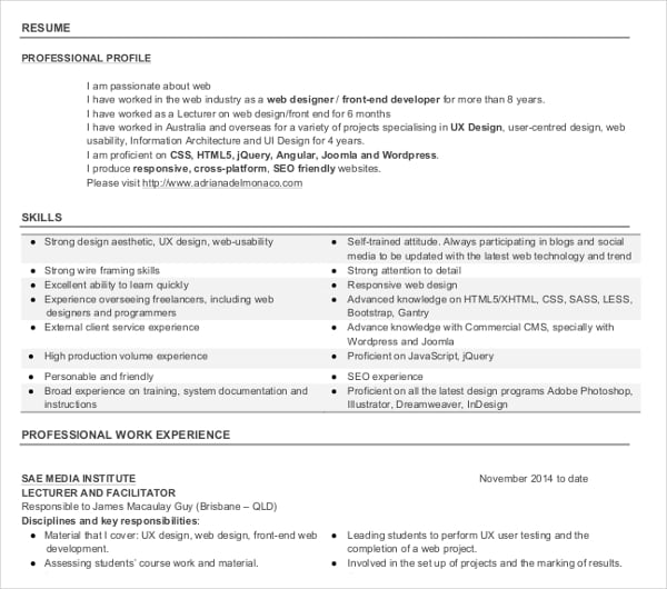 professional work experience resume