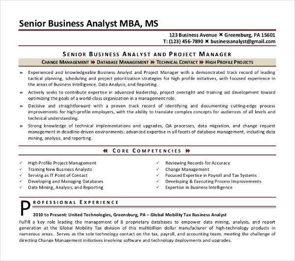 Cv Ba 10+ Business Analyst CV Templates - PDF, DOC
