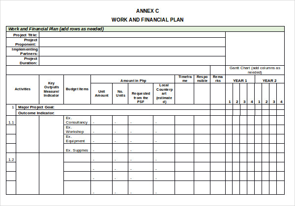 project work and financial plan