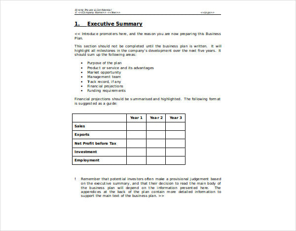 sales business plan template 