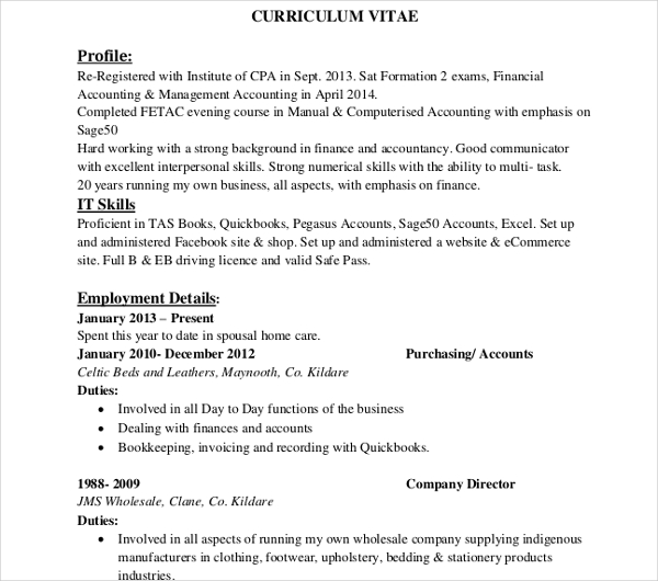 8+ Sample IT Curriculum Vitae Templates - PDF, DOC