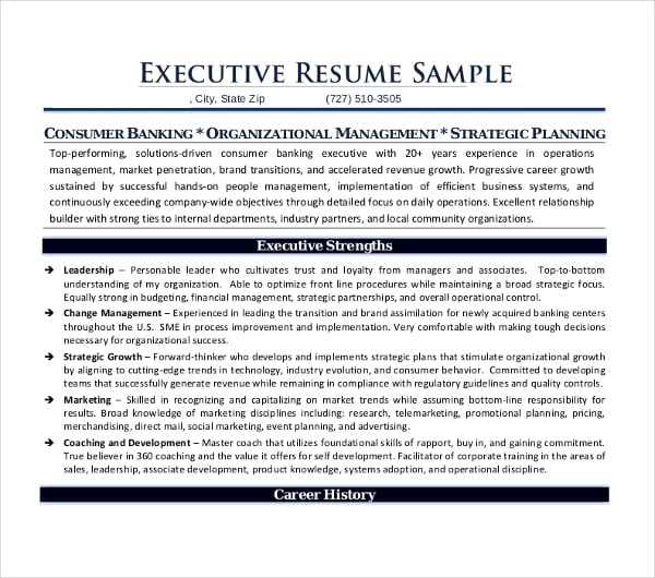 sample professional executive resume