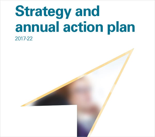 strategy and annual action plan