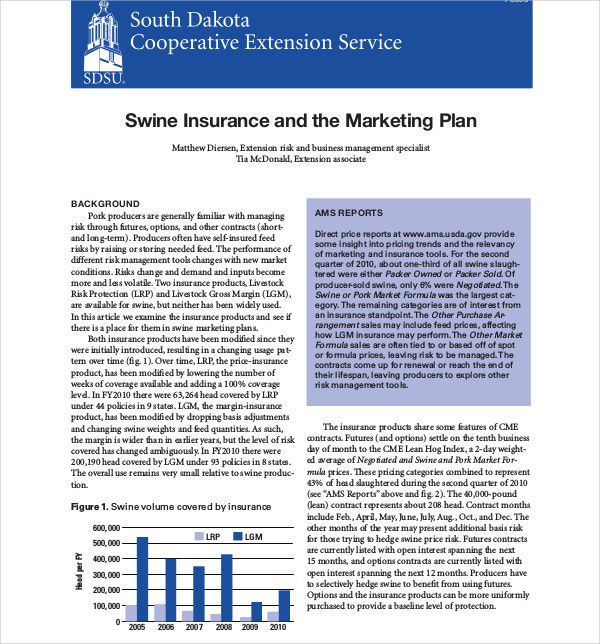 11  Insurance Marketing Plan Templates PDF Docs