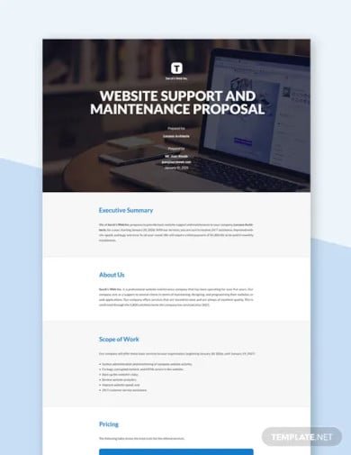website support and maintenance proposal template