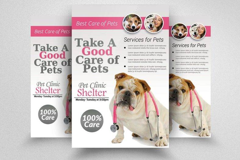 clinic-and-care-pet-flyer-788x526
