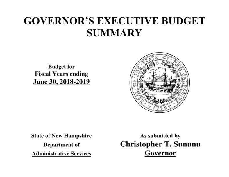 budget executive summary final 01 788x609