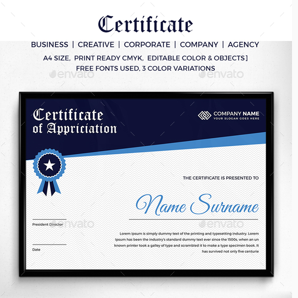 12+ Sportsmanship Award Certificate Designs & Templates PSD, AI