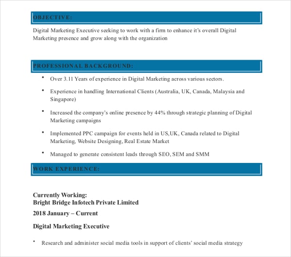 digital marketing executive resume