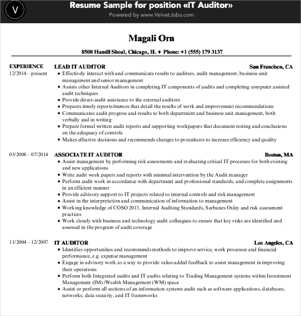 it auditor resume template