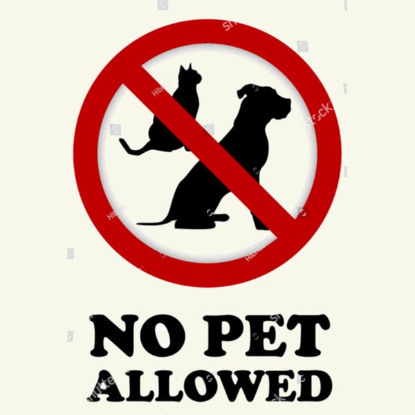 Pets allowed. No Pets allowed. No Pets sign. No Pets allowed на белом фоне.