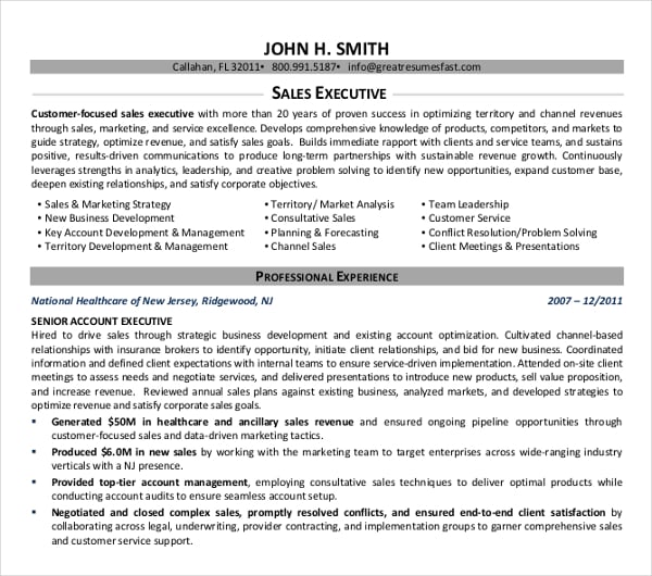 13+ Sales Executive Resume Templates in Word InDesign Apple Pages
