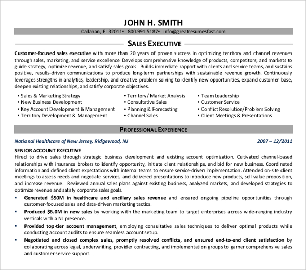 13+ Sales Executive Resume Templates in Word | InDesign | Apple Pages ...