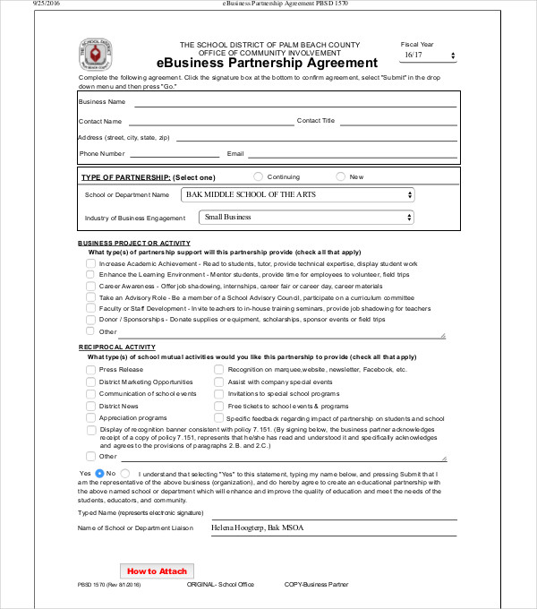 ebusiness partnership agreement