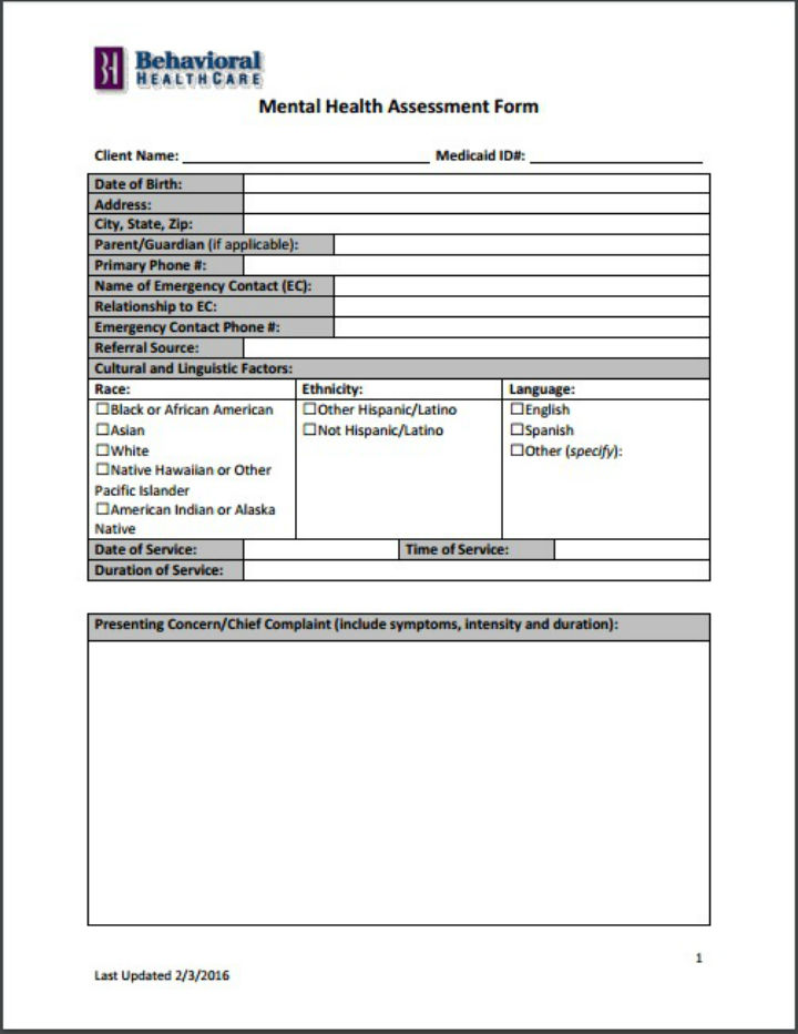 9 Health Assessment Templates PDF DOC