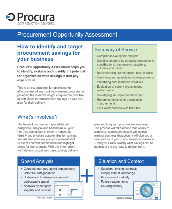 8+ Opportunity Assessment Templates - PDF, DOC