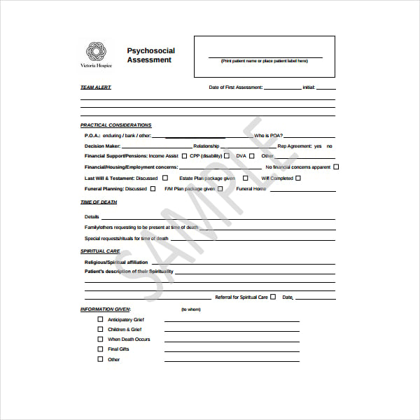 6 Psychosocial Assessment Templates Pdf 1827